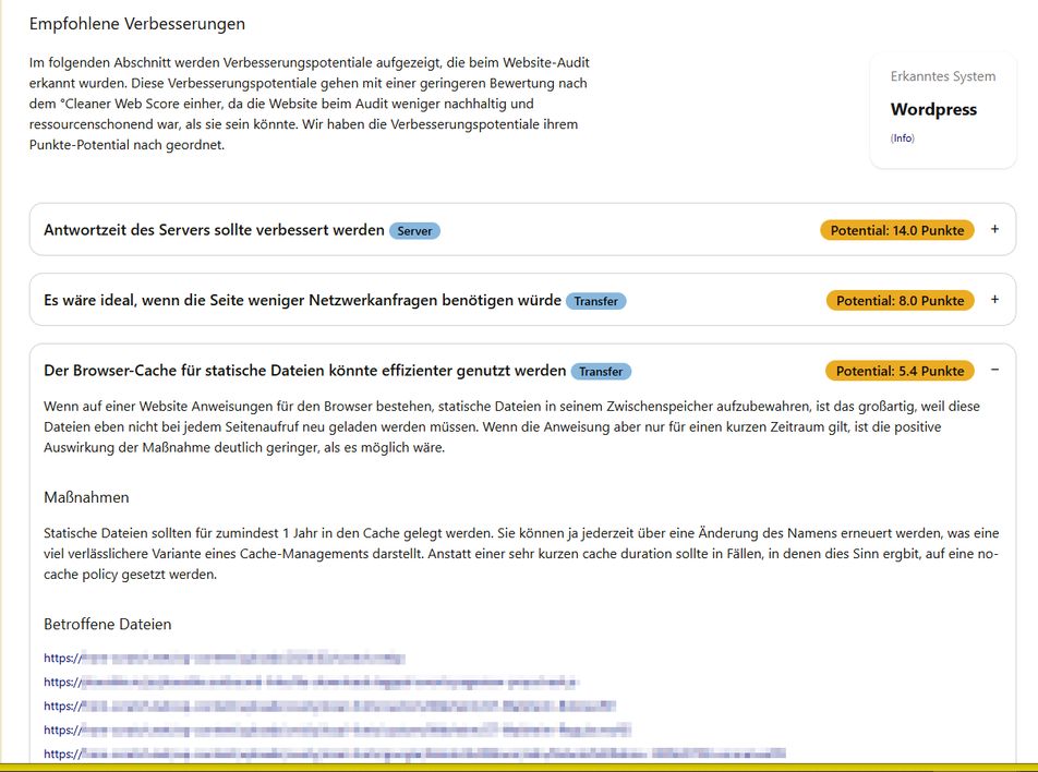 Screenshot des °Cleaner Web Toolset Reports #4